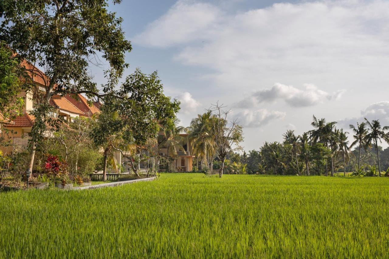 Field Hotel&restaurant Hotel