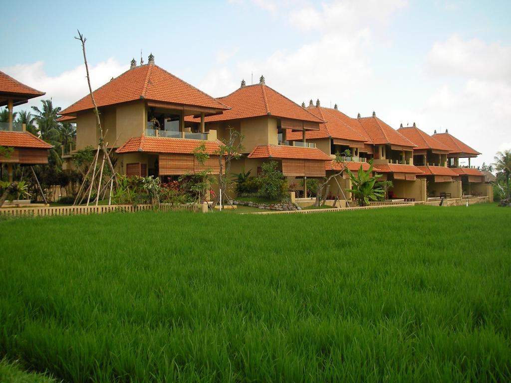 Hotel Field Hotel&restaurant