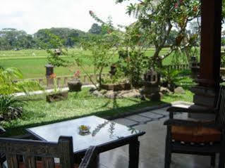 Hotel Field Hotel&restaurant 3*