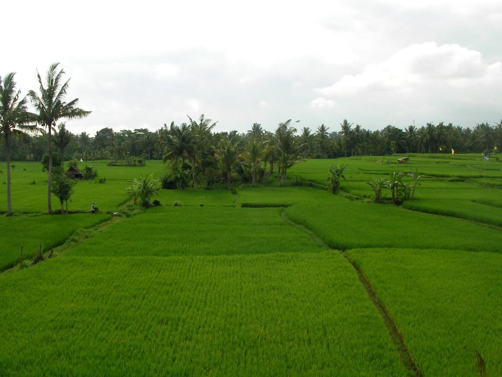 Field Hotel&restaurant Hotel 3*