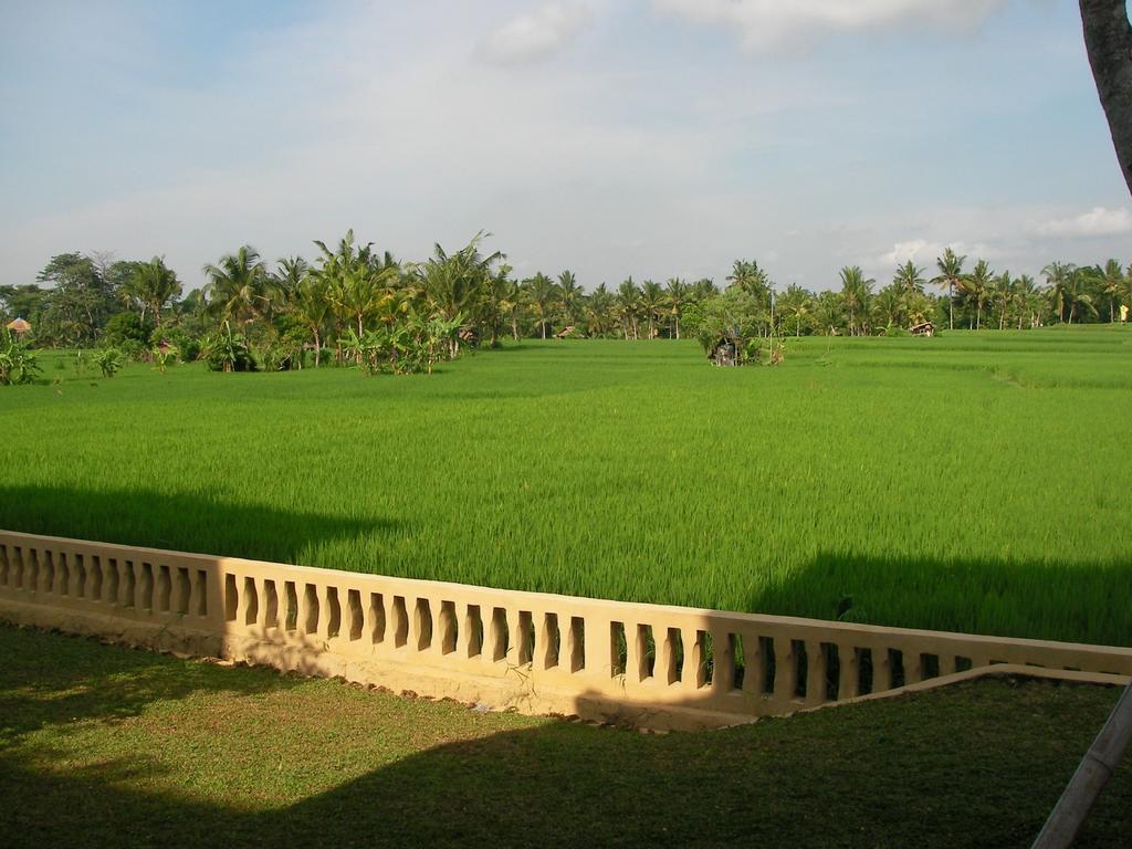 Hotel Field And Restaurant Ubud