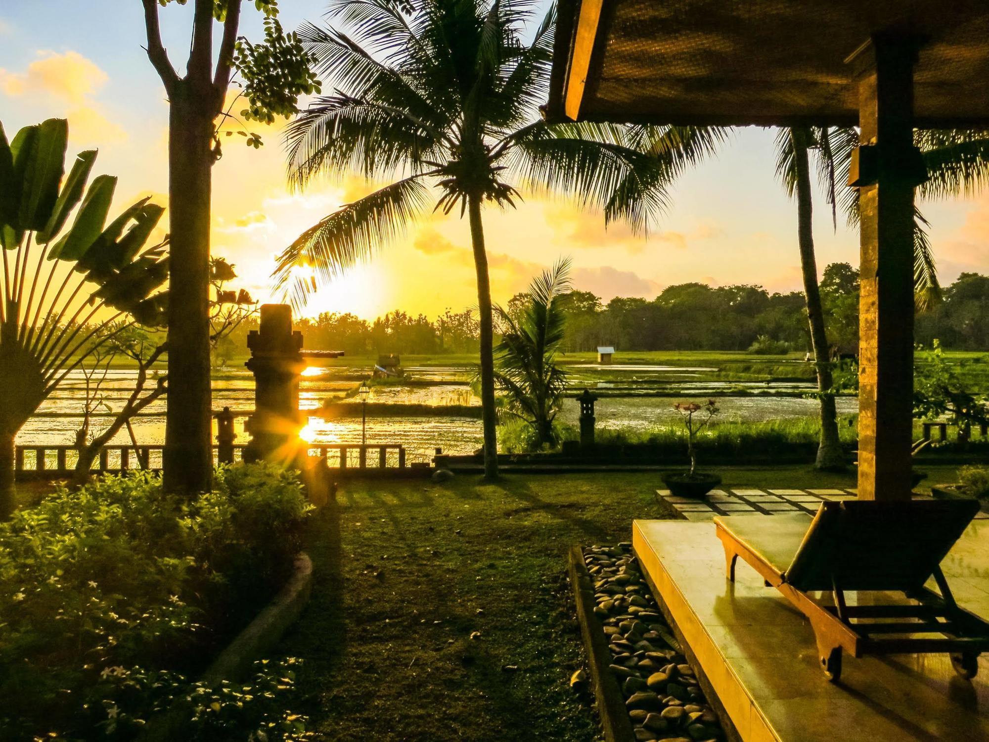 Field And Restaurant Hotel Ubud